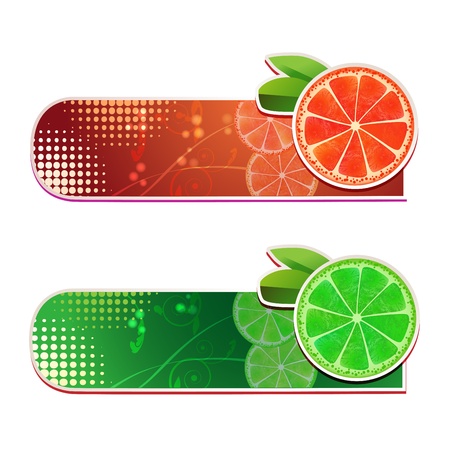 Banners with grapefruit and lime fruits のイラスト素材