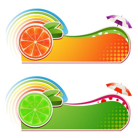 Slices grapefruit and lime ,juicy fruit,bannerのイラスト素材