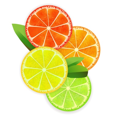 Set of citrus fruit - lemon, orange, grapefruit and lime with leaves のイラスト素材