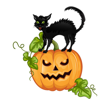 Black cat sitting on Halloween pumpkinのイラスト素材