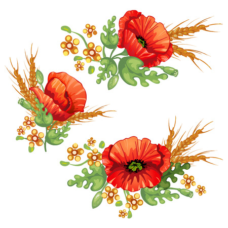 Flower bouquet .Red poppies flowers and ears of wheatのイラスト素材