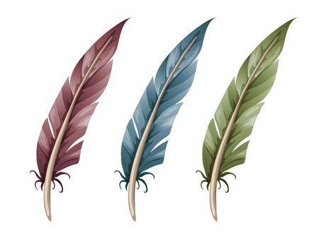 Set of three feathersのイラスト素材