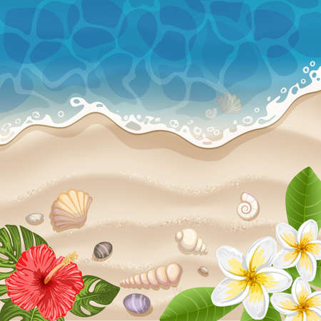 Tropical beach with frangipani and hibiscus flowersのイラスト素材