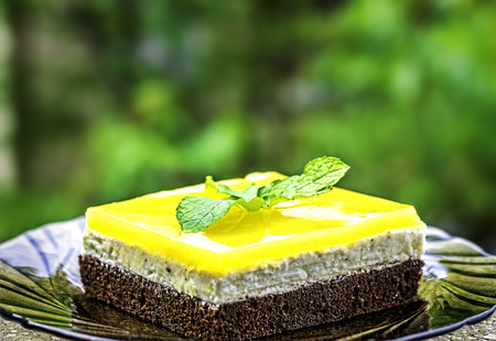 Side view of chocolate sponge cheese cream filling and orange juice jello topping cake decorated with mint leaves against a blurry green background.の写真素材