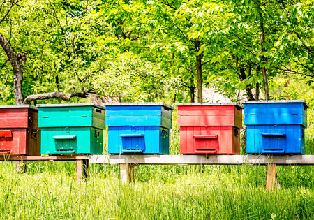 Row of blue, cherry red, cyan, turquoise and garnet red wooden beehives with trees in the...