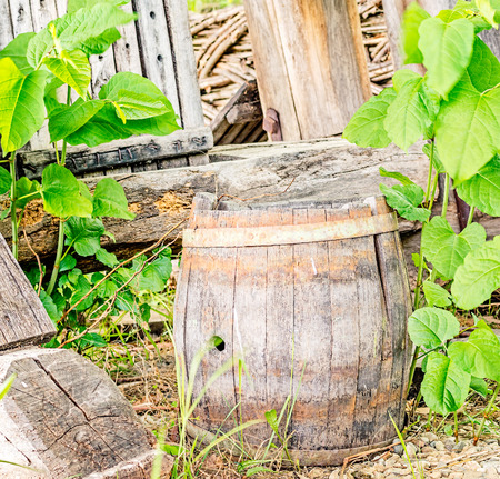 Old abandoned wood barrel used for wine storageの写真素材