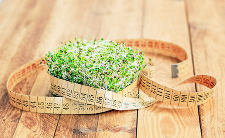 Alfalfa and arugula sprouts surrounded with an old flexible measuring tape on a wooden board.の写真素材