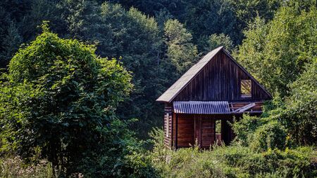Abandoned wooden cabin in the forest.の写真素材