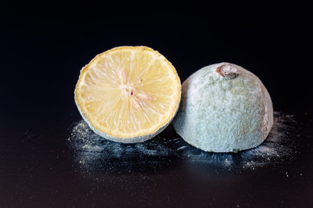 Organic lemon covered in dry gray blue mold cut in half on a black board.の写真素材
