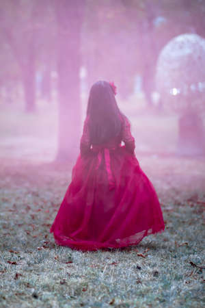 A fairy tale girl walks through the magical forest.の写真素材