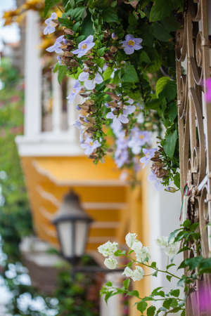 Balcony in Cartagena de Indiasの写真素材