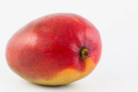 Mango (Mangifera indica) on white backgroundの写真素材