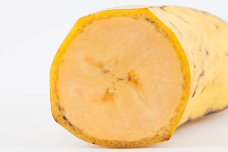 Plantain or Green Banana (Musa x paradisiaca) isolated in white backgroundの写真素材