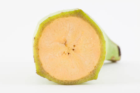 Plantain or Green Banana (Musa x paradisiaca) isolated in white backgroundの写真素材