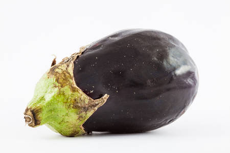 Eggplant (Solanum melongena) isolated on whiteの写真素材