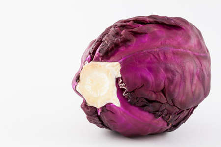 Red cabbage (Brassica oleracea) isolated in white backgroundの写真素材