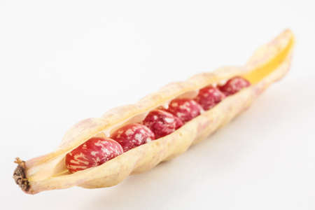 Unripe common beans (Phaseolus vulgaris) isolated in white backgroundの写真素材