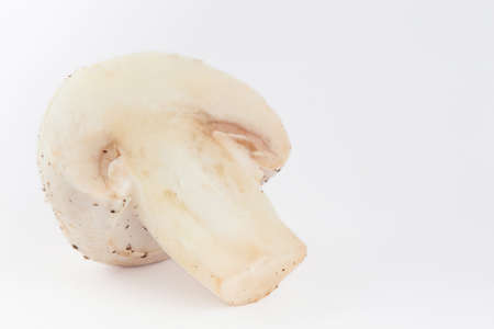 Freshly harvested mushroom (Agaricus bisporus) isolated in white backgroundの写真素材