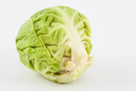 Brussels sprout (Brassica oleracea var. gemmifera) isolated in white backgroundの写真素材