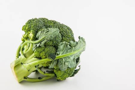 Broccoli (Brassica oleracea) isolated in white backgroundの写真素材