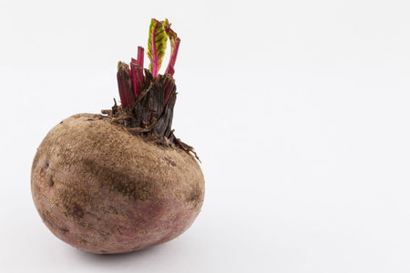 Beetroot (Beta vulgaris) isolated in white background
