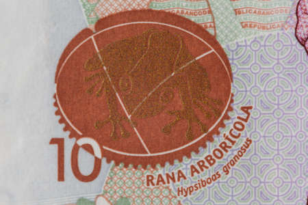 Hypsiboas granosus frog on the ten thousand Colombian pesos billの写真素材