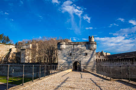 Famous Avignon Bridge also called Pont Saint-Benezet at Avignon Franceの写真素材