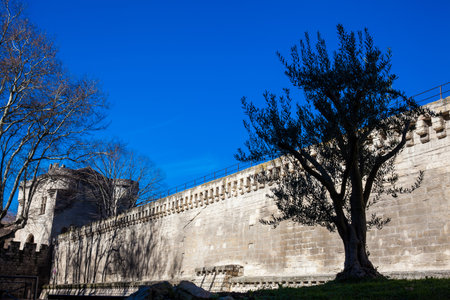Medieval built Avignon city stone wall at French Provence