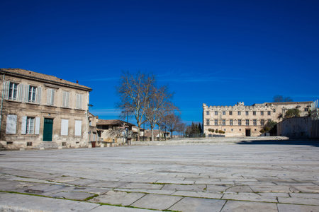 AVIGNON, FRANCE - MARCH, 2018: Square Below the Palace of the Popesのeditorial素材