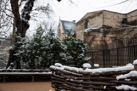 Garden of the National Museum of the Middle Ages of Parisのeditorial素材
