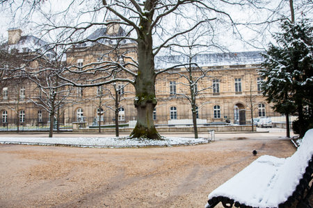 Bench covered with snow at the Luxembourg Palace garden in a freezing winter day day just before springのeditorial素材