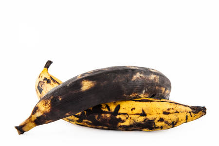 Plantain or Green Banana (Musa x paradisiaca) in different stages of maduration isolated in white backgroundの写真素材