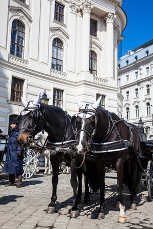 Horse-drawn carriages in front of the Hofburg Imperial Palace in Viennaのeditorial素材