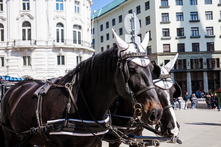 Horse-drawn carriage in front of the Hofburg Imperial Palace in Viennaのeditorial素材