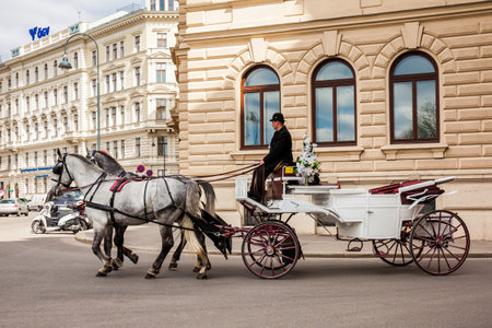 Vintage horse-drawn carriage riding on the Bankgasse street next to the Hofburg Theaterのeditorial素材