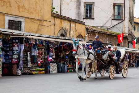 Tourists on a horse drawn carriage in Pisaのeditorial素材