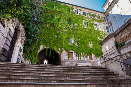 The famous Borgia Ascent in the Monti neighborhood of Romeの写真素材
