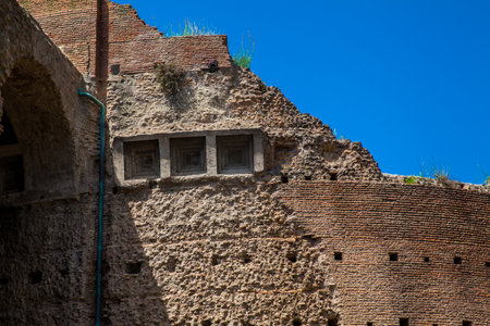 Ruins of the Palace of Septimius Severus or Domus Severiana on the Palatine Hillのeditorial素材