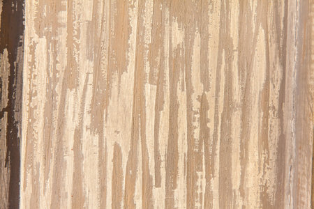 Vintage wood background texture - Design element