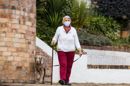 Senior woman wearing a home made face mask and having a short walk outdoors with her pet during the coronavirus quarantine de-escalationの写真素材