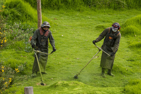 LA CALERA, COLOMBIA - MAY, 2020: Man scything wearing safety personal protective equipment and face mask during the  coronavirus pandemicのeditorial素材