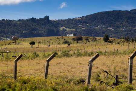 View of the beautiful mountains of the municipality of La Calera located on the Eastern Ranges of...