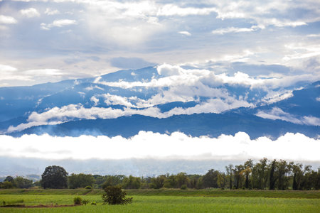 Sugar cane field and the majestic mountains at the Valle del Cauca region in Colombia
