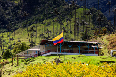 SALENTO, COLOMBIA - JULY 2021. Traditional house at the beautiful cloud forest and the Quindio Wax Palms at the Cocora Valley located in Salento in the Quindio region in Colombia.のeditorial素材