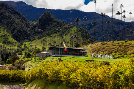 SALENTO, COLOMBIA - JULY 2021. Traditional house at the beautiful cloud forest and the Quindio Wax Palms at the Cocora Valley located in Salento in the Quindio region in Colombia.のeditorial素材