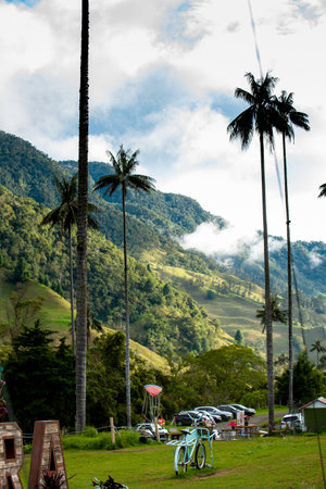 SALENTO, COLOMBIA - JULY 2021. The beautiful Cocora Valley located in Salento at the Quindio region in Colombiaのeditorial素材