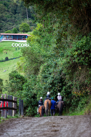 SALENTO, COLOMBIA - JULY 2021. Group of tourists on a horseback ride in the Cocora Valleyのeditorial素材