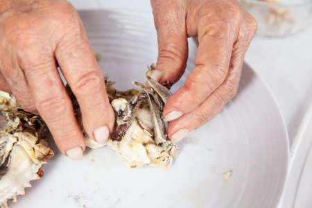 Close up of the process of breaking down a fresh crab to take out the fleshの写真素材