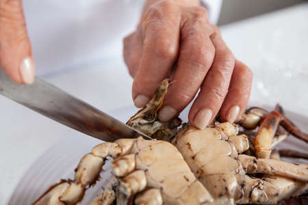 Close up of the process of breaking down a fresh crab to take out the fleshの写真素材
