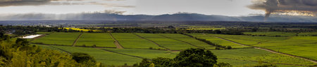 Sugar cane field and the majestic mountains at the Valle del Cauca region in Colombia